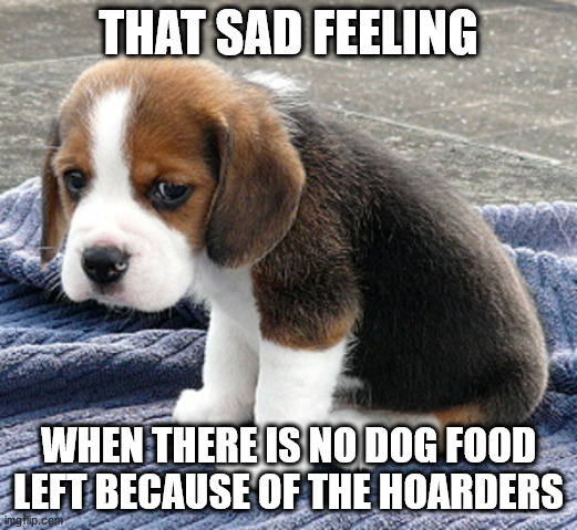 sad dog - Imgflip