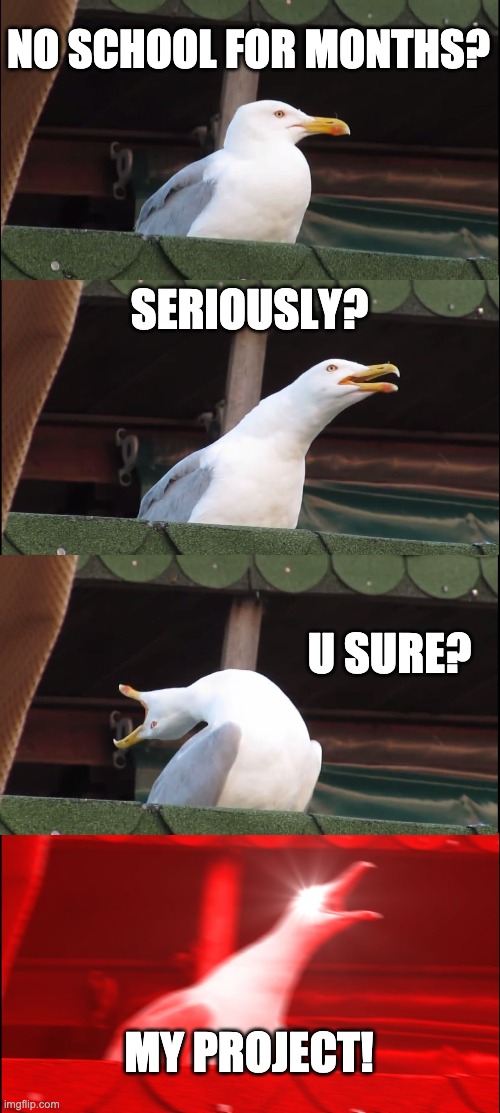 Inhaling Seagull Meme | NO SCHOOL FOR MONTHS? SERIOUSLY? U SURE? MY PROJECT! | image tagged in memes,inhaling seagull | made w/ Imgflip meme maker