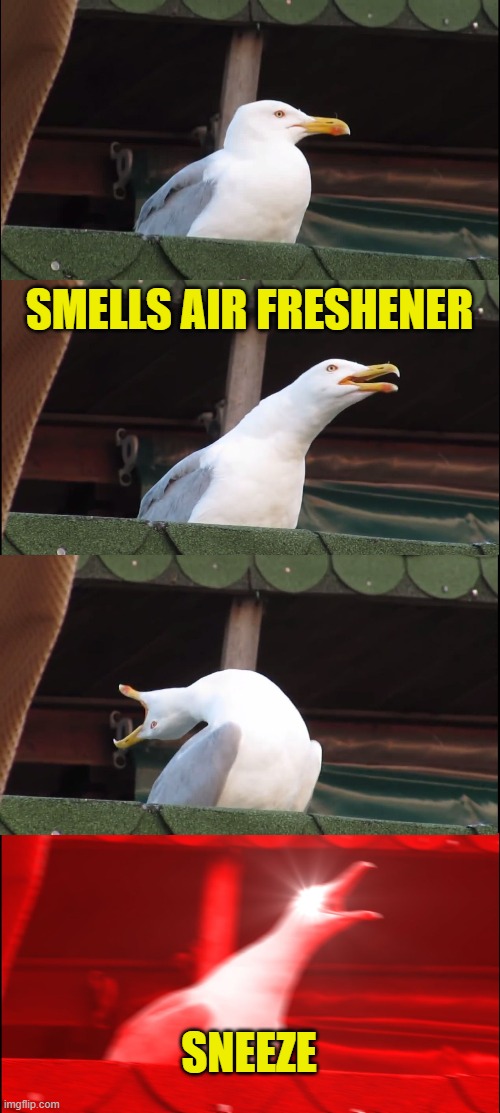 Inhaling Seagull Meme | SMELLS AIR FRESHENER; SNEEZE | image tagged in memes,inhaling seagull | made w/ Imgflip meme maker