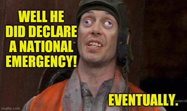 Looks Good To Me | WELL HE DID DECLARE A NATIONAL EMERGENCY! EVENTUALLY. | image tagged in looks good to me | made w/ Imgflip meme maker