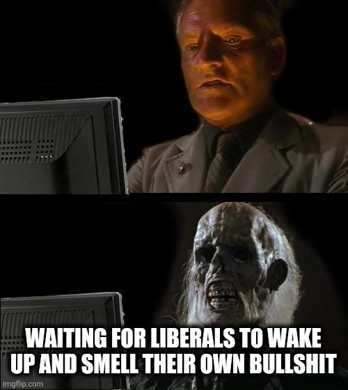 I'll Just Wait Here Meme | WAITING FOR LIBERALS TO WAKE UP AND SMELL THEIR OWN BULLSHIT | image tagged in memes,ill just wait here | made w/ Imgflip meme maker