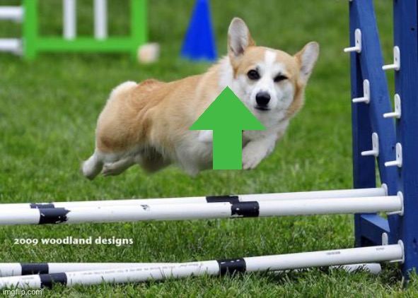 Upvote corgi Blank Meme Template