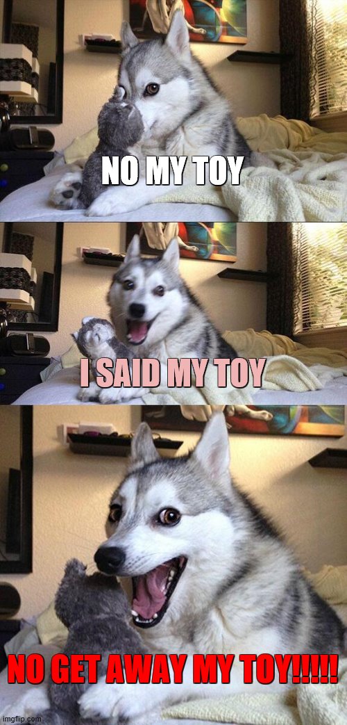 Bad Pun Dog Meme | NO MY TOY; I SAID MY TOY; NO GET AWAY MY TOY!!!!! | image tagged in memes,bad pun dog | made w/ Imgflip meme maker