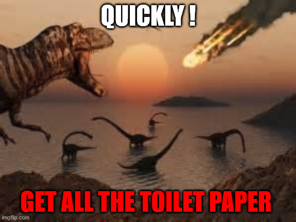 Dinosaurs | QUICKLY ! GET ALL THE TOILET PAPER | image tagged in dinosaurs | made w/ Imgflip meme maker