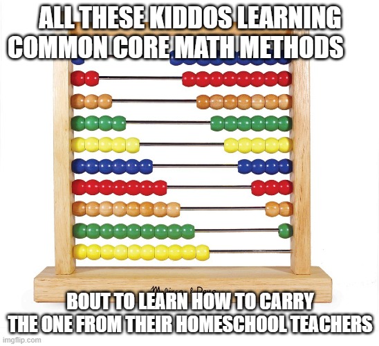 Common Core no more | ALL THESE KIDDOS LEARNING COMMON CORE MATH METHODS; BOUT TO LEARN HOW TO CARRY THE ONE FROM THEIR HOMESCHOOL TEACHERS | image tagged in abacus,common core | made w/ Imgflip meme maker