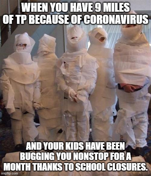 Coronavirus | WHEN YOU HAVE 9 MILES OF TP BECAUSE OF CORONAVIRUS; AND YOUR KIDS HAVE BEEN BUGGING YOU NONSTOP FOR A MONTH THANKS TO SCHOOL CLOSURES. | image tagged in coronavirus | made w/ Imgflip meme maker