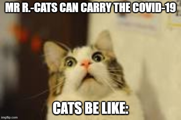 MR R.-CATS CAN CARRY THE COVID-19; CATS BE LIKE: | image tagged in covid-19 | made w/ Imgflip meme maker