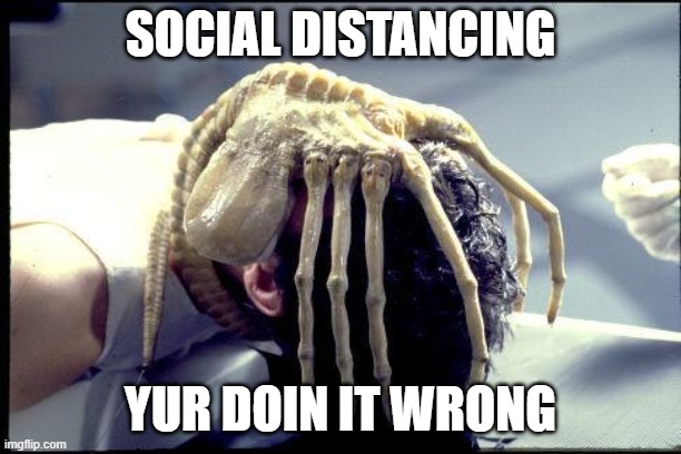 facehugger | SOCIAL DISTANCING; YUR DOIN IT WRONG | image tagged in facehugger | made w/ Imgflip meme maker