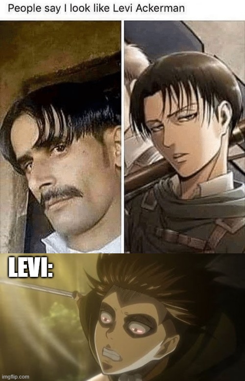 levi ackerman | LEVI: | image tagged in anime,attack on titan,aot | made w/ Imgflip meme maker