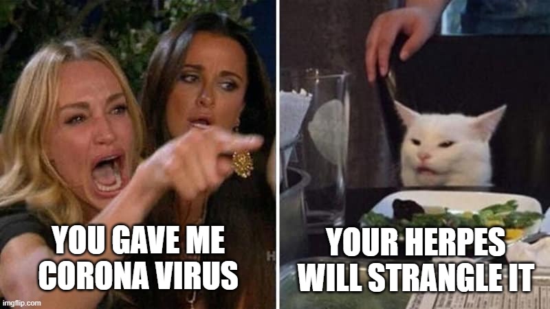 Which way do you swipe on "INFECTR"? | YOUR HERPES WILL STRANGLE IT; YOU GAVE ME CORONA VIRUS | image tagged in girls vs cat,coronavirus | made w/ Imgflip meme maker