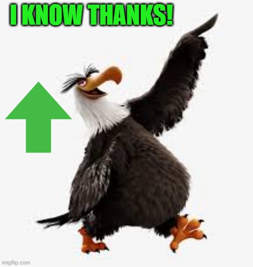 angry birds eagle | I KNOW THANKS! | image tagged in angry birds eagle | made w/ Imgflip meme maker