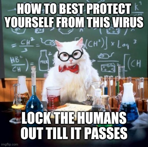Chemistry Cat Meme | HOW TO BEST PROTECT YOURSELF FROM THIS VIRUS; LOCK THE HUMANS OUT TILL IT PASSES | image tagged in memes,chemistry cat | made w/ Imgflip meme maker