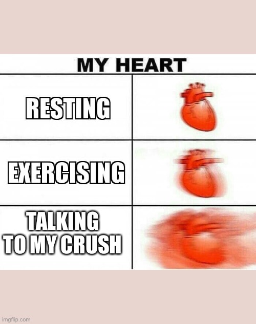 MY HEART | TALKING TO MY CRUSH | image tagged in my heart | made w/ Imgflip meme maker