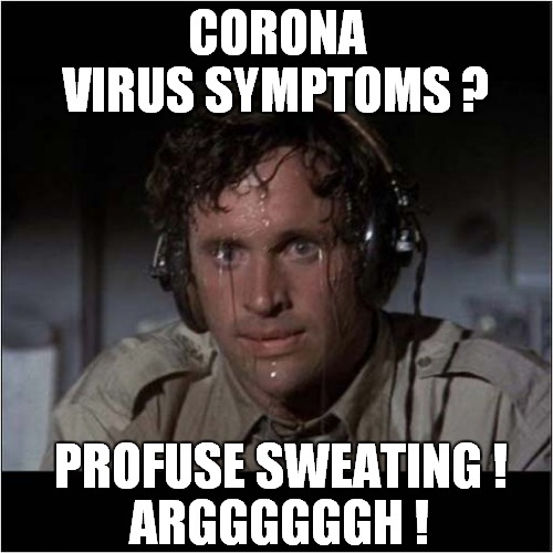 It's The End Of The World As We Know It ! | CORONA VIRUS SYMPTOMS ? PROFUSE SWEATING ! ARGGGGGGH ! | image tagged in fun,corona virus,sweating pilot,airplane | made w/ Imgflip meme maker