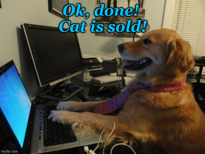 Ok, done! 

Cat is sold! | made w/ Imgflip meme maker