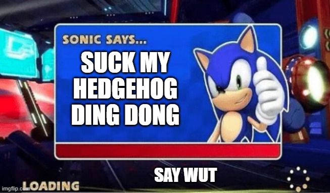 Sonic Says | SUCK MY HEDGEHOG DING DONG; SAY WUT | image tagged in sonic says | made w/ Imgflip meme maker