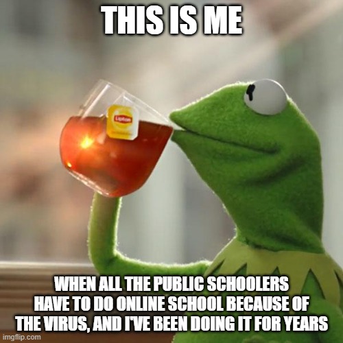But That's None Of My Business | THIS IS ME; WHEN ALL THE PUBLIC SCHOOLERS HAVE TO DO ONLINE SCHOOL BECAUSE OF THE VIRUS, AND I'VE BEEN DOING IT FOR YEARS | image tagged in memes,but thats none of my business,kermit the frog | made w/ Imgflip meme maker