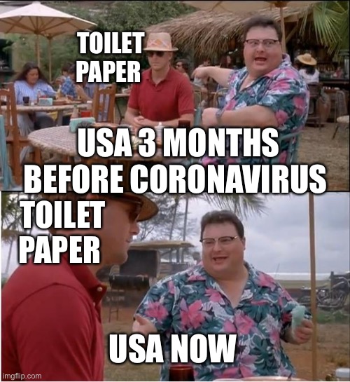 See Nobody Cares | TOILET PAPER; USA 3 MONTHS BEFORE CORONAVIRUS; TOILET PAPER; USA NOW | image tagged in memes,see nobody cares | made w/ Imgflip meme maker