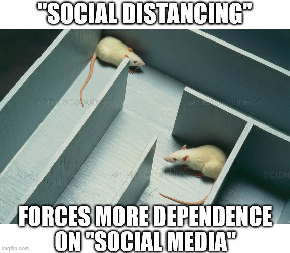 Steering the masses through the media, both televised and social all part of this Alinsky-esque test of our resolve...? | "SOCIAL DISTANCING"; FORCES MORE DEPENDENCE ON "SOCIAL MEDIA" | image tagged in rats,social media,coronavirus | made w/ Imgflip meme maker