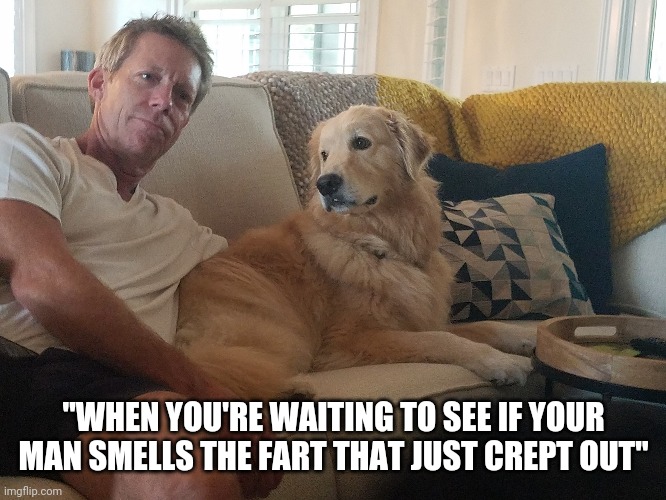 "WHEN YOU'RE WAITING TO SEE IF YOUR MAN SMELLS THE FART THAT JUST CREPT OUT" | image tagged in farts,golden retriever,men | made w/ Imgflip meme maker
