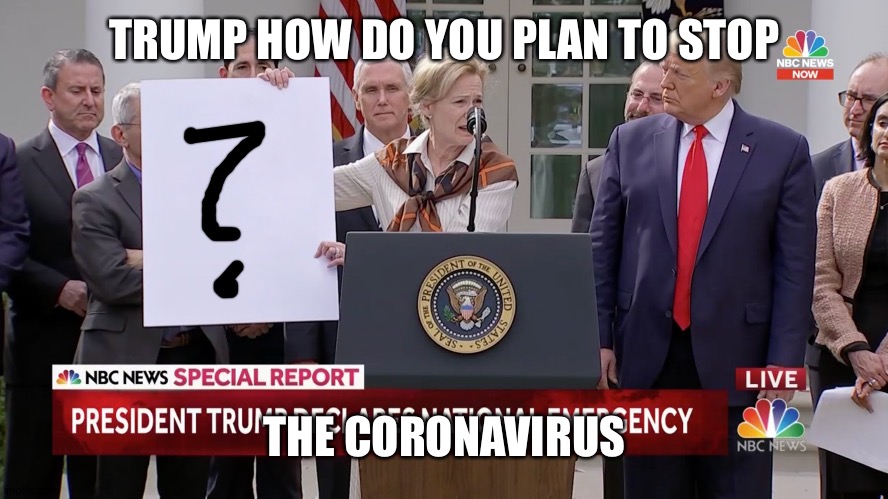 Trump coronavirus | TRUMP HOW DO YOU PLAN TO STOP THE CORONAVIRUS | image tagged in trump coronavirus | made w/ Imgflip meme maker