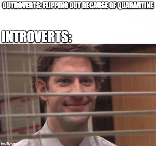 Jim Halpert | OUTROVERTS: FLIPPING OUT BECAUSE OF QUARANTINE; INTROVERTS: | image tagged in jim halpert | made w/ Imgflip meme maker