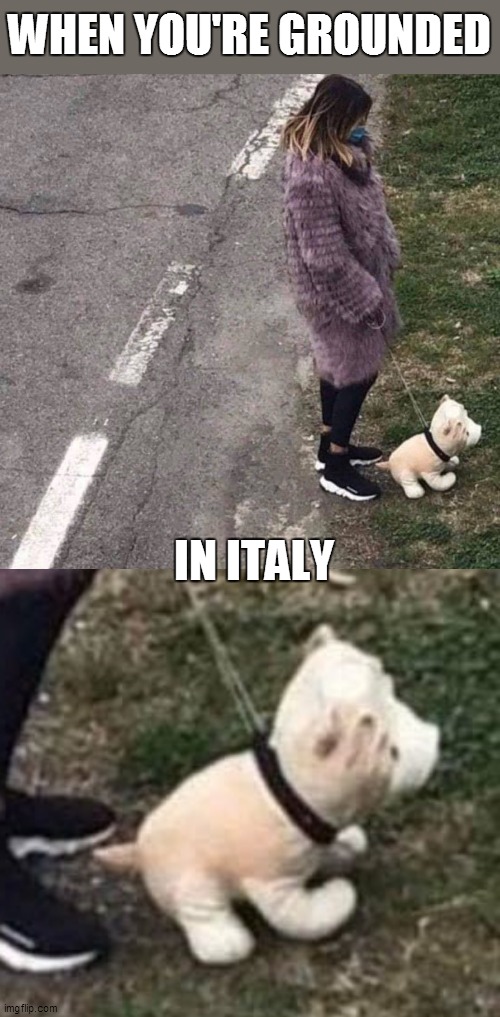 Walk The Fluffy | WHEN YOU'RE GROUNDED; IN ITALY | image tagged in memes,coronavirus,quarantine | made w/ Imgflip meme maker