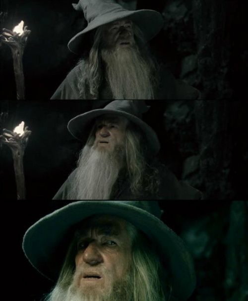 Confused Gandalf Meme | image tagged in memes,confused gandalf | made w/ Imgflip meme maker