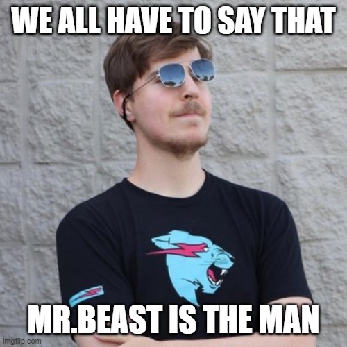 Mr. Beast | WE ALL HAVE TO SAY THAT; MR.BEAST IS THE MAN | image tagged in mr beast | made w/ Imgflip meme maker