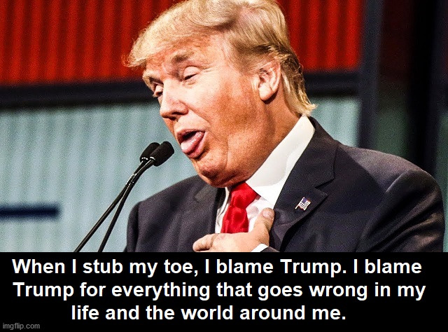 The Blame Game | image tagged in special kind of stupid,stupid people | made w/ Imgflip meme maker