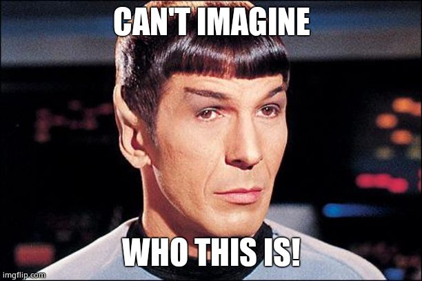 Condescending Spock | CAN'T IMAGINE WHO THIS IS! | image tagged in condescending spock | made w/ Imgflip meme maker