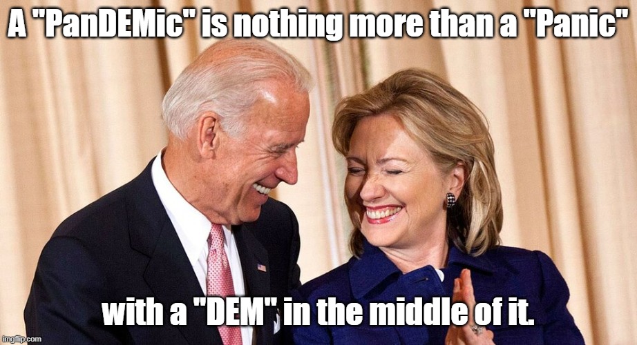 Pandemic = Panic x DEM | A "PanDEMic" is nothing more than a "Panic"; with a "DEM" in the middle of it. | image tagged in pandemic,democrats,biden,hillary,hoax,coronavirus | made w/ Imgflip meme maker