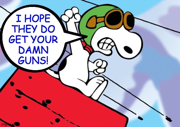 I HOPE
THEY DO
GET YOUR
DAMN
GUNS! | made w/ Imgflip meme maker