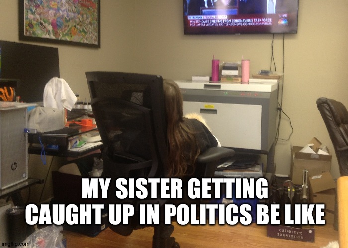 Politic sister | MY SISTER GETTING CAUGHT UP IN POLITICS BE LIKE | image tagged in political meme | made w/ Imgflip meme maker