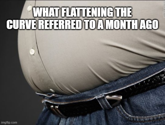 WHAT FLATTENING THE CURVE REFERRED TO A MONTH AGO | image tagged in coronavirus,big belly | made w/ Imgflip meme maker