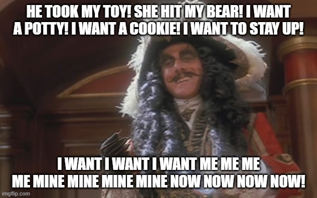 HE TOOK MY TOY! SHE HIT MY BEAR! I WANT A POTTY! I WANT A COOKIE! I WANT TO STAY UP! I WANT I WANT I WANT ME ME ME ME MINE MINE MINE MINE NOW NOW NOW NOW! | made w/ Imgflip meme maker
