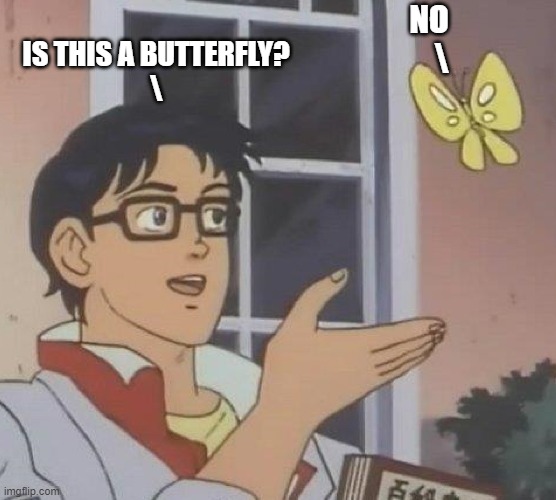 Is This A Pigeon Meme | NO
    \; IS THIS A BUTTERFLY?
\ | image tagged in memes,is this a pigeon | made w/ Imgflip meme maker