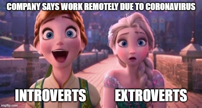 Extrovert and Introvert reaction to remote work |  COMPANY SAYS WORK REMOTELY DUE TO CORONAVIRUS; INTROVERTS           EXTROVERTS | image tagged in frozen,elsa,anna,introvert,extrovert | made w/ Imgflip meme maker