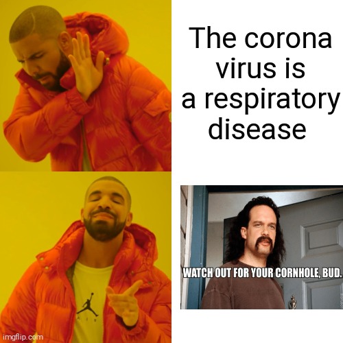 Toilet paper | The corona virus is a respiratory disease | image tagged in memes,drake hotline bling | made w/ Imgflip meme maker