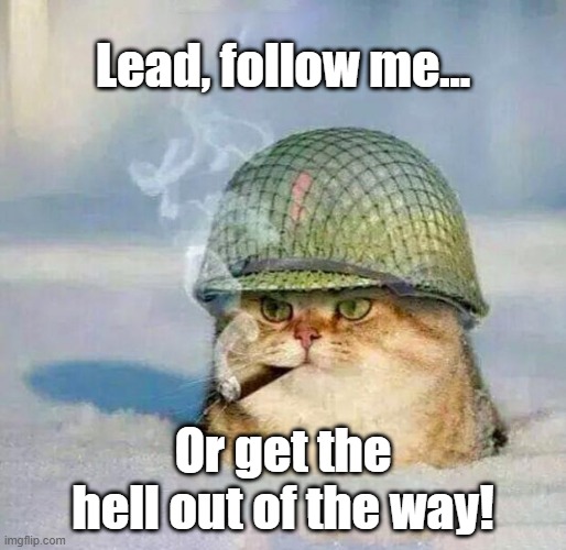 War Cat |  Lead, follow me... Or get the hell out of the way! | image tagged in war cat | made w/ Imgflip meme maker