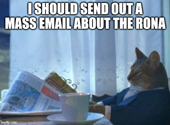 I Should Buy A Boat Cat Meme | I SHOULD SEND OUT A MASS EMAIL ABOUT THE RONA | image tagged in memes,i should buy a boat cat,AdviceAnimals | made w/ Imgflip meme maker