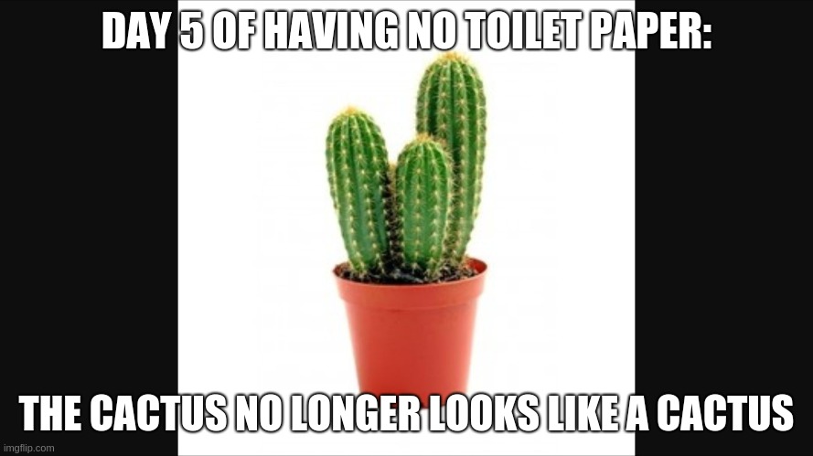 Cactus |  DAY 5 OF HAVING NO TOILET PAPER:; THE CACTUS NO LONGER LOOKS LIKE A CACTUS | image tagged in cactus | made w/ Imgflip meme maker