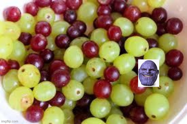 Grapes... | image tagged in grapes | made w/ Imgflip meme maker