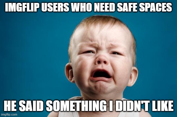 BABY CRYING | IMGFLIP USERS WHO NEED SAFE SPACES; HE SAID SOMETHING I DIDN'T LIKE | image tagged in baby crying | made w/ Imgflip meme maker