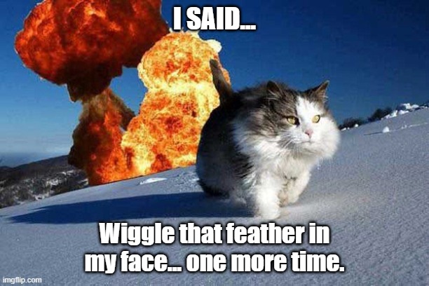 Action Hero Cat | I SAID... Wiggle that feather in my face... one more time. | image tagged in action hero cat | made w/ Imgflip meme maker