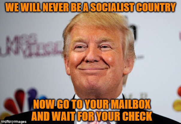 Donald trump approves | WE WILL NEVER BE A SOCIALIST COUNTRY; NOW GO TO YOUR MAILBOX AND WAIT FOR YOUR CHECK | image tagged in donald trump approves | made w/ Imgflip meme maker