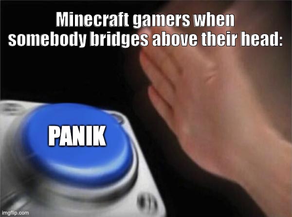 Blank Nut Button | Minecraft gamers when somebody bridges above their head:; PANIK | image tagged in memes,blank nut button | made w/ Imgflip meme maker