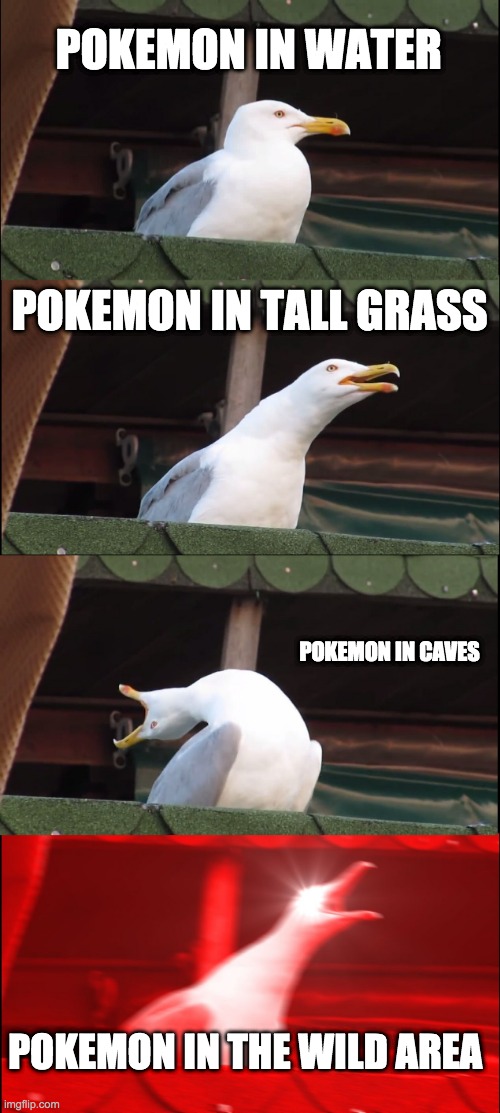 How often they spawn | POKEMON IN WATER; POKEMON IN TALL GRASS; POKEMON IN CAVES; POKEMON IN THE WILD AREA | image tagged in memes,inhaling seagull | made w/ Imgflip meme maker