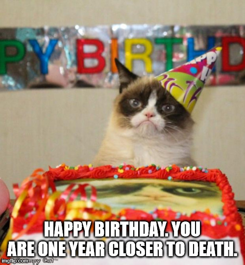 Grumpy Cat Birthday Meme | HAPPY BIRTHDAY. YOU ARE ONE YEAR CLOSER TO DEATH. | image tagged in memes,grumpy cat birthday,grumpy cat | made w/ Imgflip meme maker