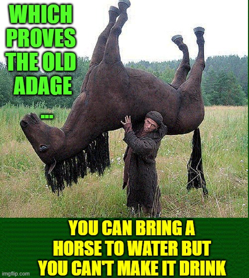 He Ain't Heavy. He's My Horsey | WHICH PROVES THE OLD  ADAGE    ... YOU CAN BRING A HORSE TO WATER BUT YOU CAN'T MAKE IT DRINK | image tagged in vince vance,horses,funny animal meme,dead horse,taxidermist,just horsing around | made w/ Imgflip meme maker